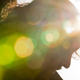Image for article titled Shooting Challenge: Lens Flare Gallery Part Two